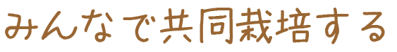 お店で選ぶ